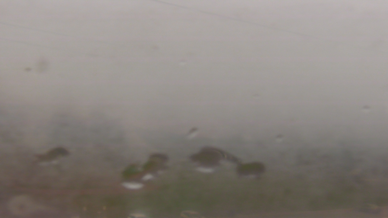 Thumbnail for current weather camera view from Guadalupe School Utah in Salt Lake City, Utah