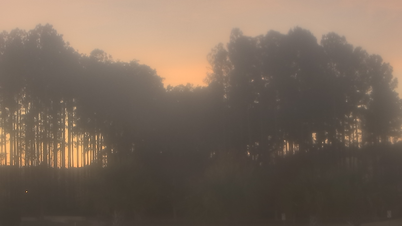 Thumbnail for current weather camera view from Sand Hill Elementary in Summerville, South Carolina