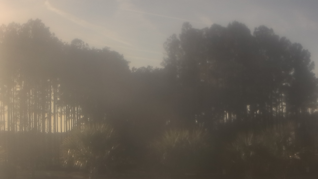 Thumbnail for current weather camera view from Sand Hill Elementary in Summerville, South Carolina