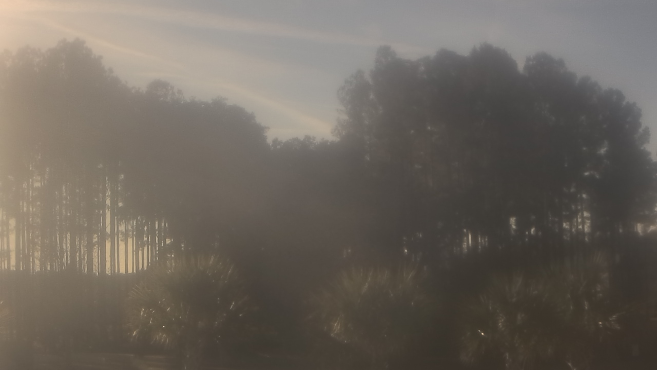 Thumbnail for current weather camera view from Sand Hill Elementary in Summerville, South Carolina