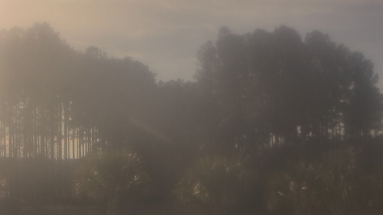 Thumbnail for current weather camera view from Sand Hill Elementary in Summerville, South Carolina