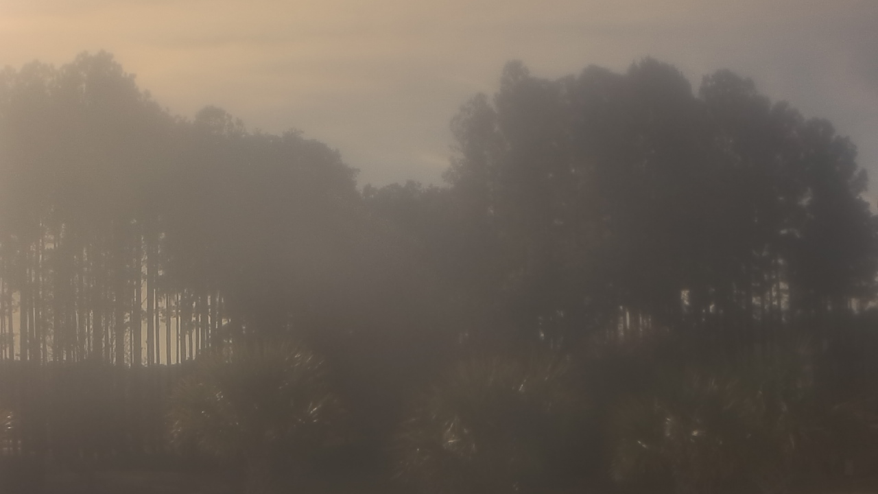 Thumbnail for current weather camera view from Sand Hill Elementary in Summerville, South Carolina