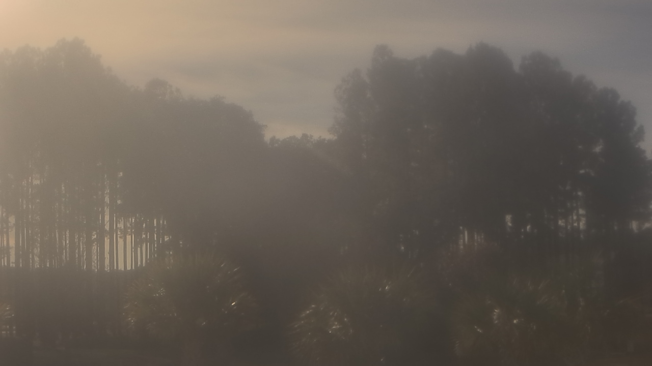 Thumbnail for current weather camera view from Sand Hill Elementary in Summerville, South Carolina