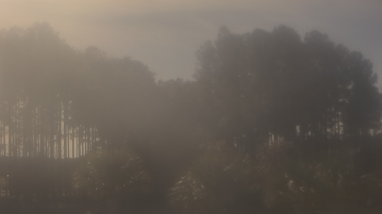 Thumbnail for current weather camera view from Sand Hill Elementary in Summerville, South Carolina