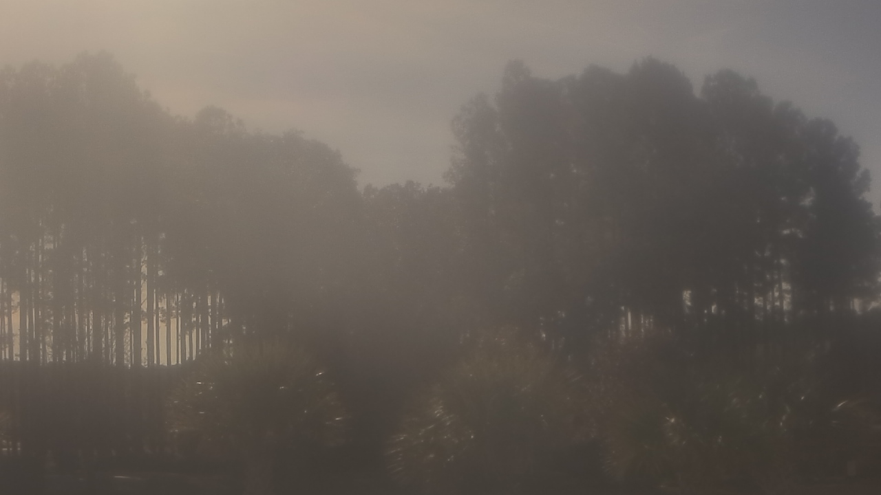 Thumbnail for current weather camera view from Sand Hill Elementary in Summerville, South Carolina