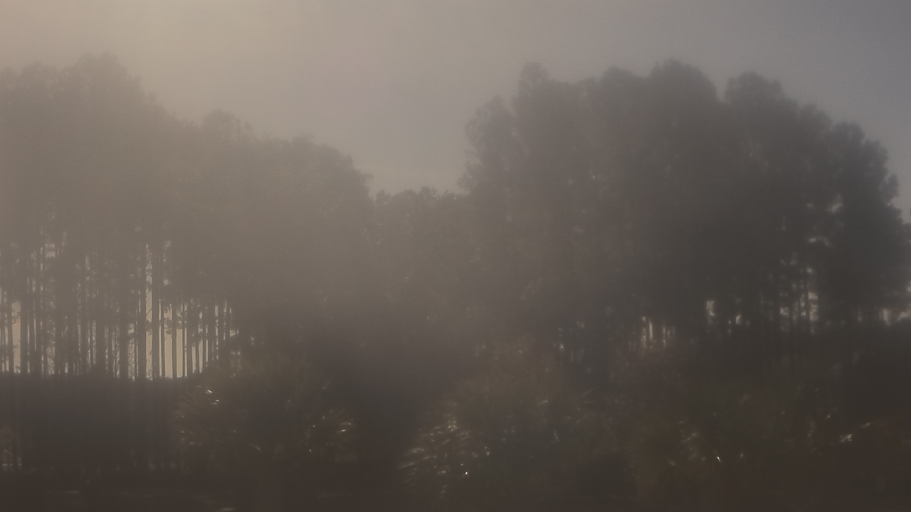 Thumbnail for current weather camera view from Sand Hill Elementary in Summerville, South Carolina