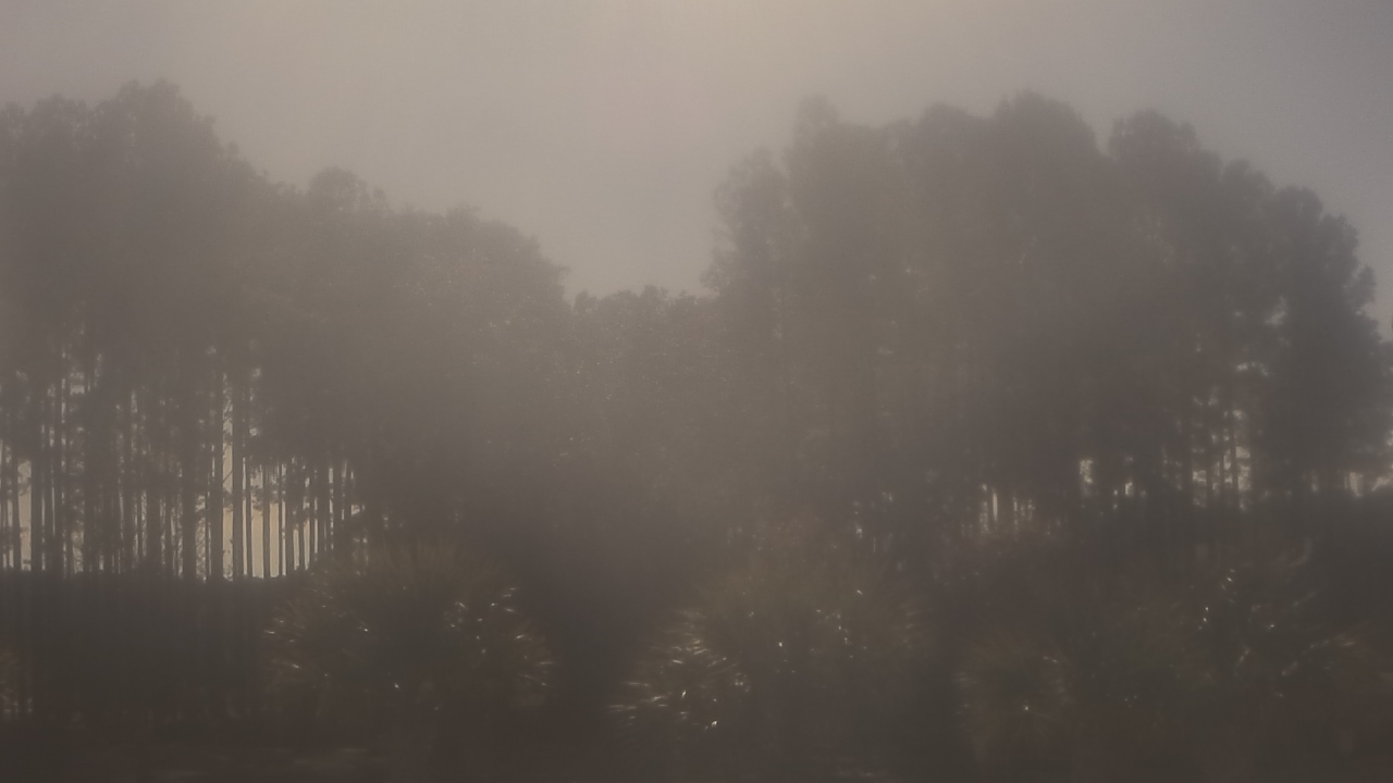 Thumbnail for current weather camera view from Sand Hill Elementary in Summerville, South Carolina