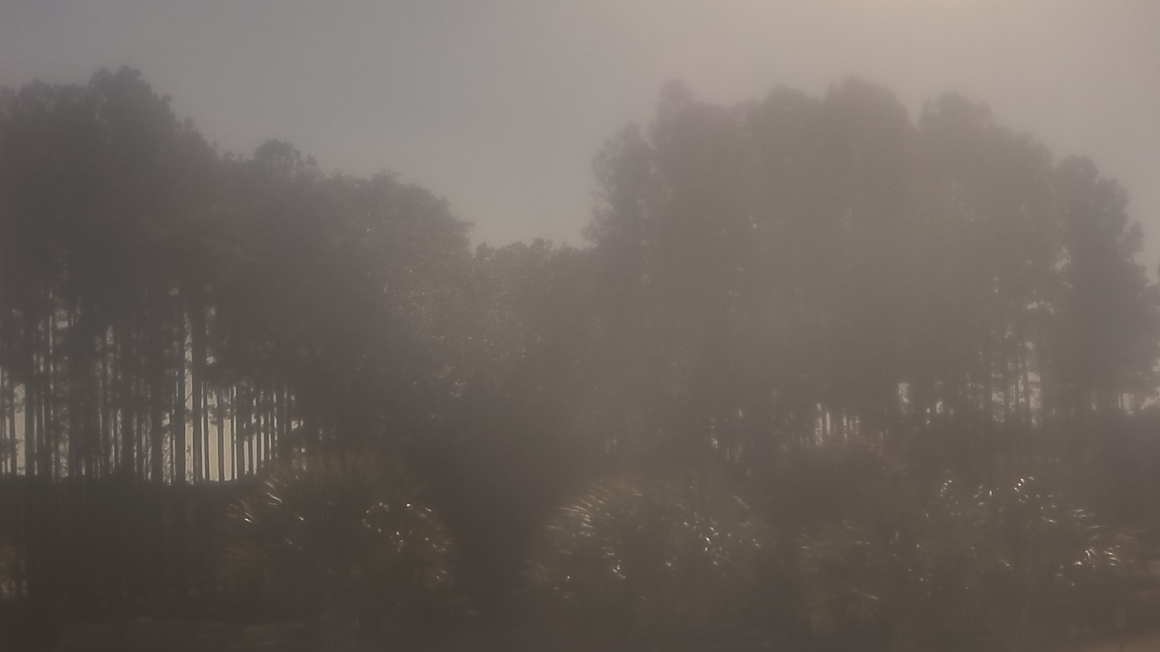 Thumbnail for current weather camera view from Sand Hill Elementary in Summerville, South Carolina