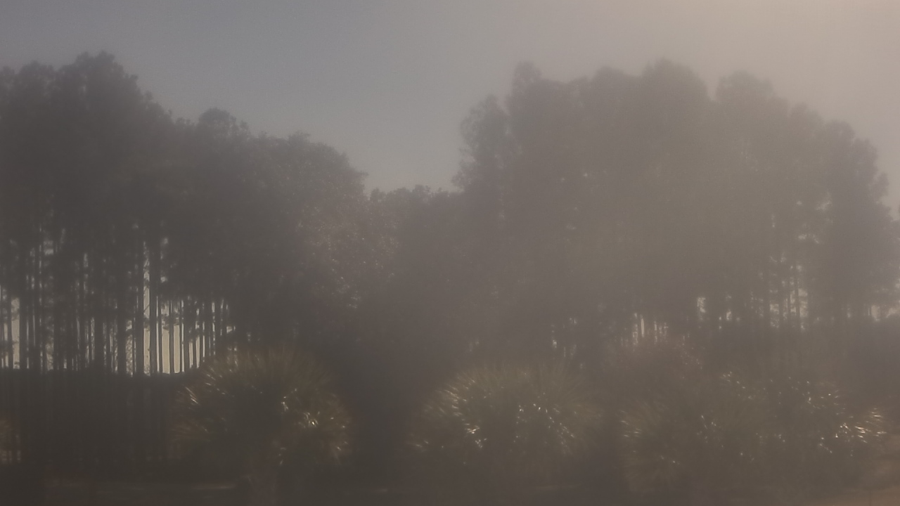 Thumbnail for current weather camera view from Sand Hill Elementary in Summerville, South Carolina