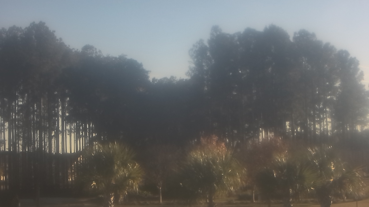 Thumbnail for current weather camera view from Sand Hill Elementary in Summerville, South Carolina