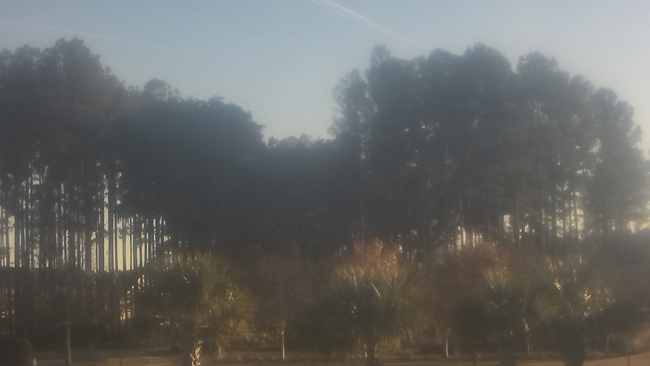 Thumbnail for current weather camera view from Sand Hill Elementary in Summerville, South Carolina