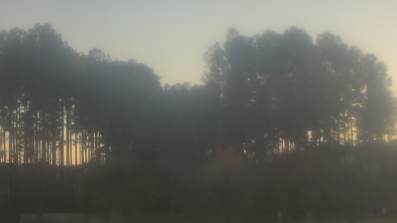 Thumbnail for current weather camera view from Sand Hill Elementary in Summerville, South Carolina