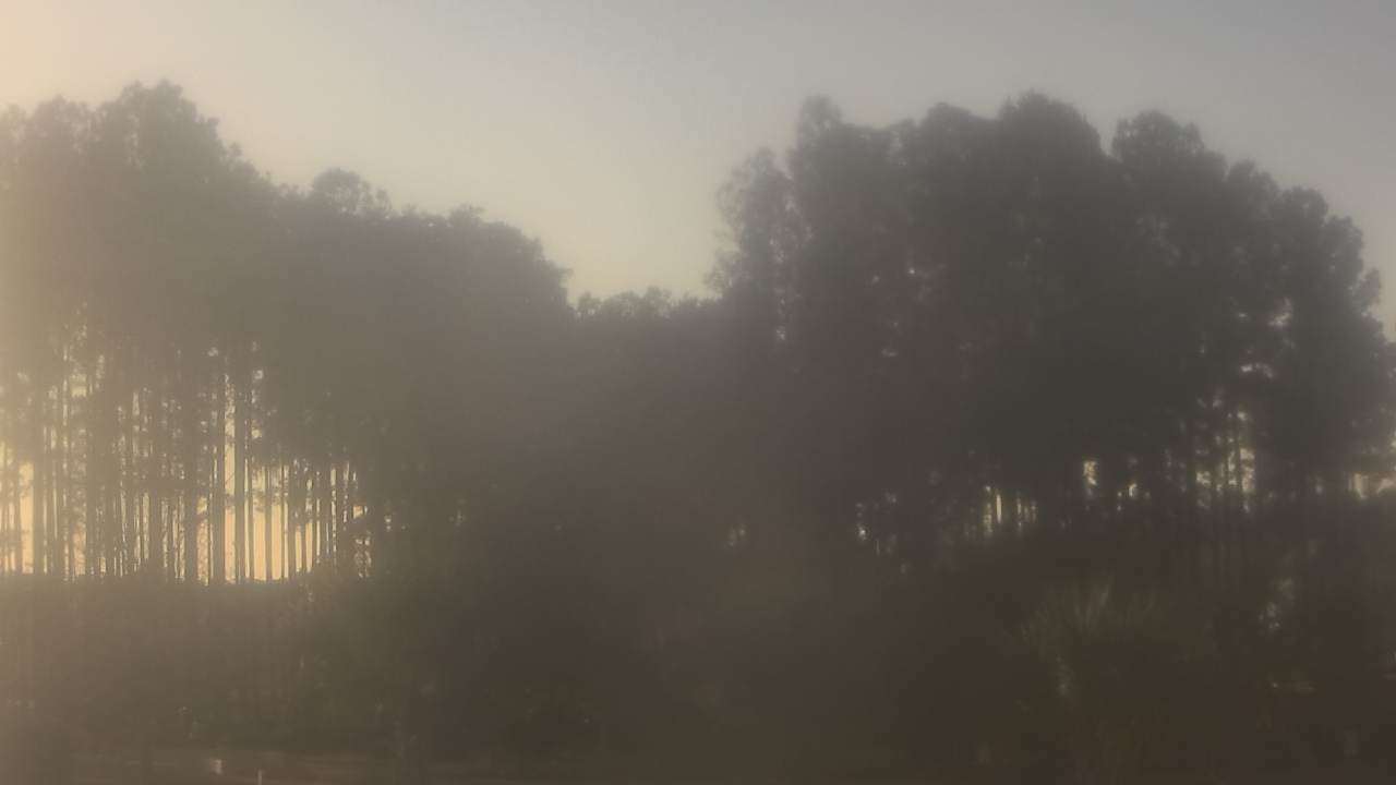 Thumbnail for current weather camera view from Sand Hill Elementary in Summerville, South Carolina