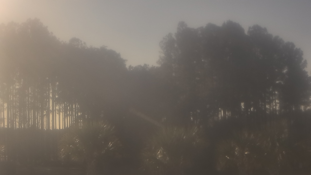 Thumbnail for current weather camera view from Sand Hill Elementary in Summerville, South Carolina