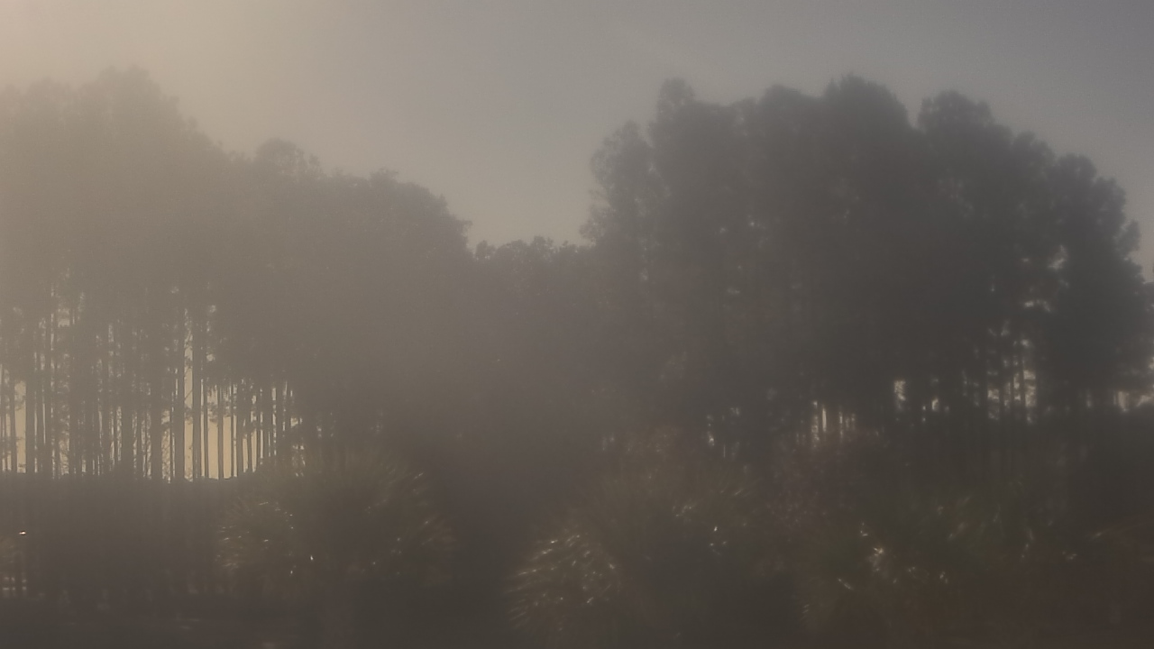 Thumbnail for current weather camera view from Sand Hill Elementary in Summerville, South Carolina