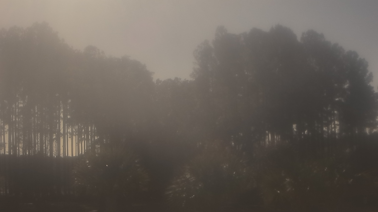 Thumbnail for current weather camera view from Sand Hill Elementary in Summerville, South Carolina