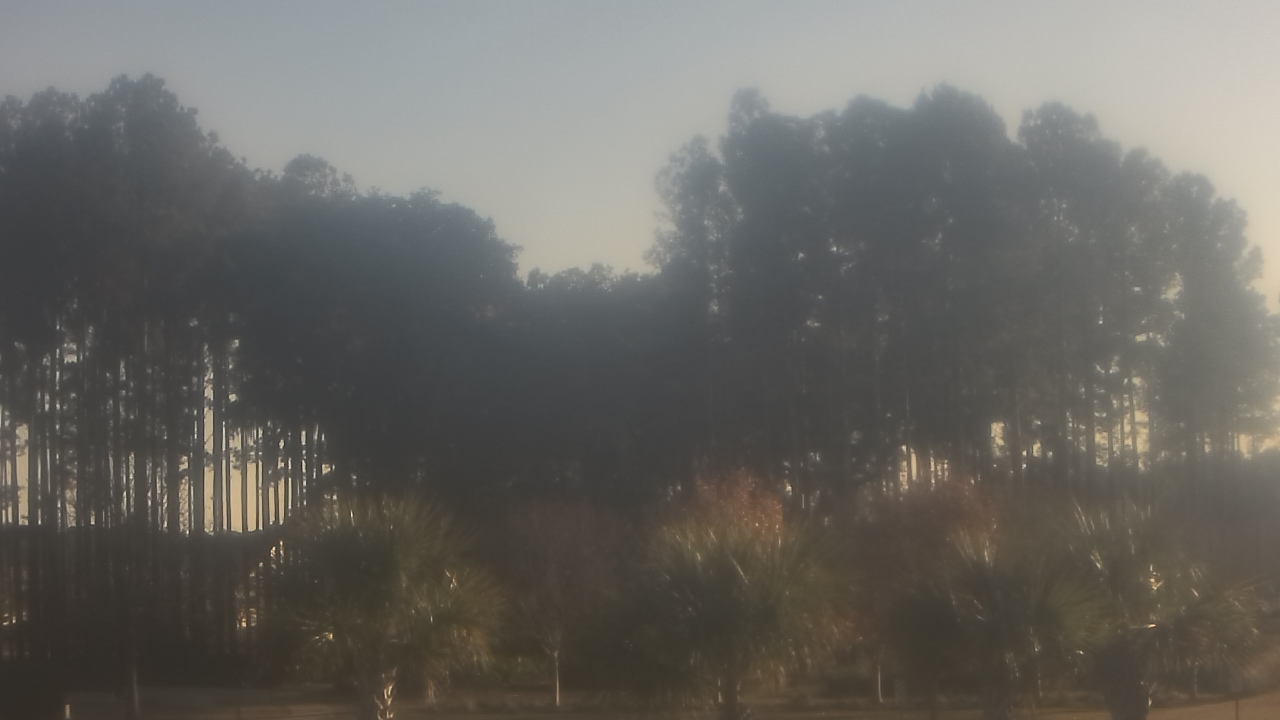 Thumbnail for current weather camera view from Sand Hill Elementary in Summerville, South Carolina