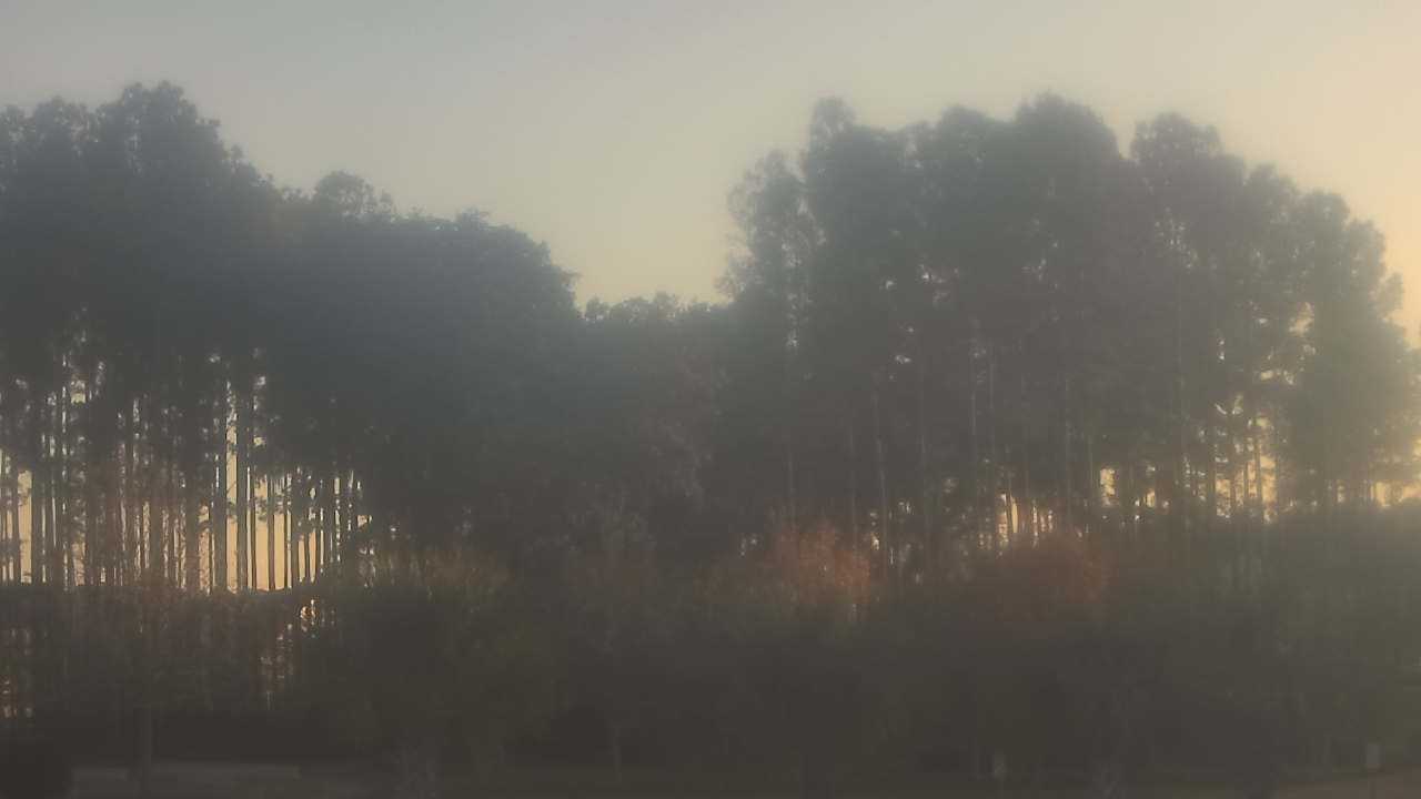 Thumbnail for current weather camera view from Sand Hill Elementary in Summerville, South Carolina