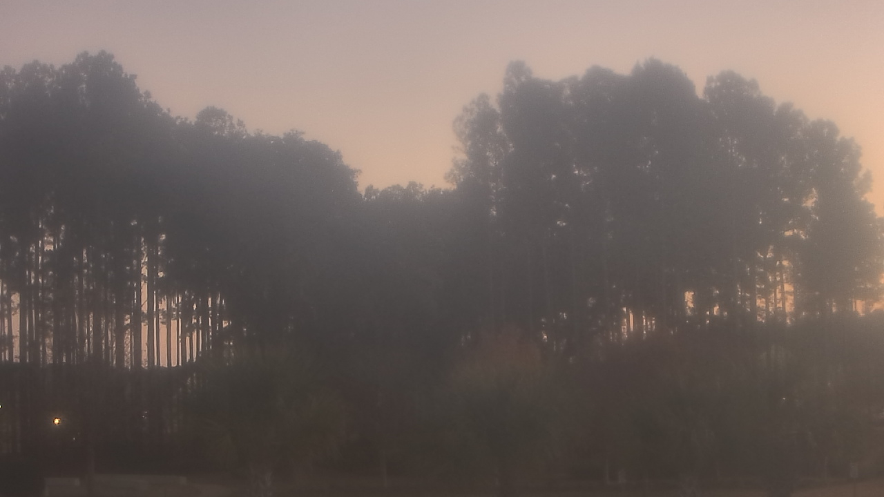 Thumbnail for current weather camera view from Sand Hill Elementary in Summerville, South Carolina