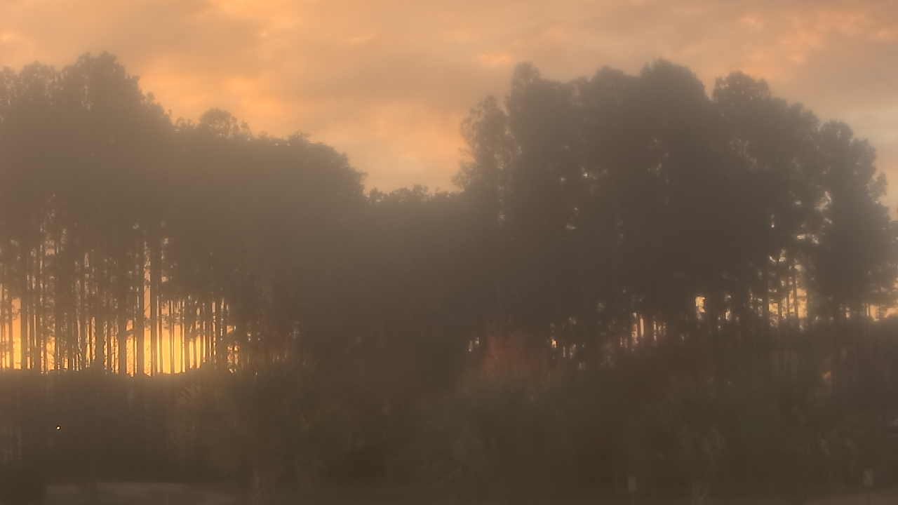 Thumbnail for current weather camera view from Sand Hill Elementary in Summerville, South Carolina