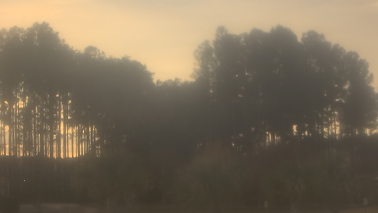 Thumbnail for current weather camera view from Sand Hill Elementary in Summerville, South Carolina