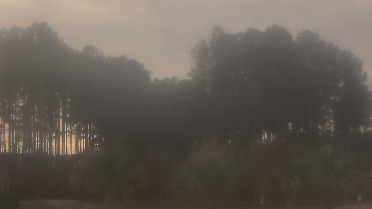 Thumbnail for current weather camera view from Sand Hill Elementary in Summerville, South Carolina