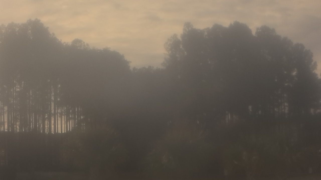 Thumbnail for current weather camera view from Sand Hill Elementary in Summerville, South Carolina