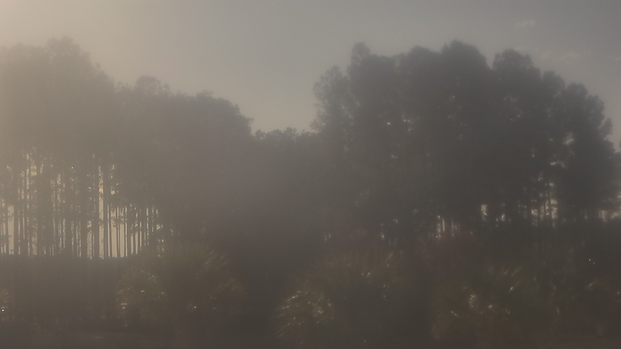 Thumbnail for current weather camera view from Sand Hill Elementary in Summerville, South Carolina