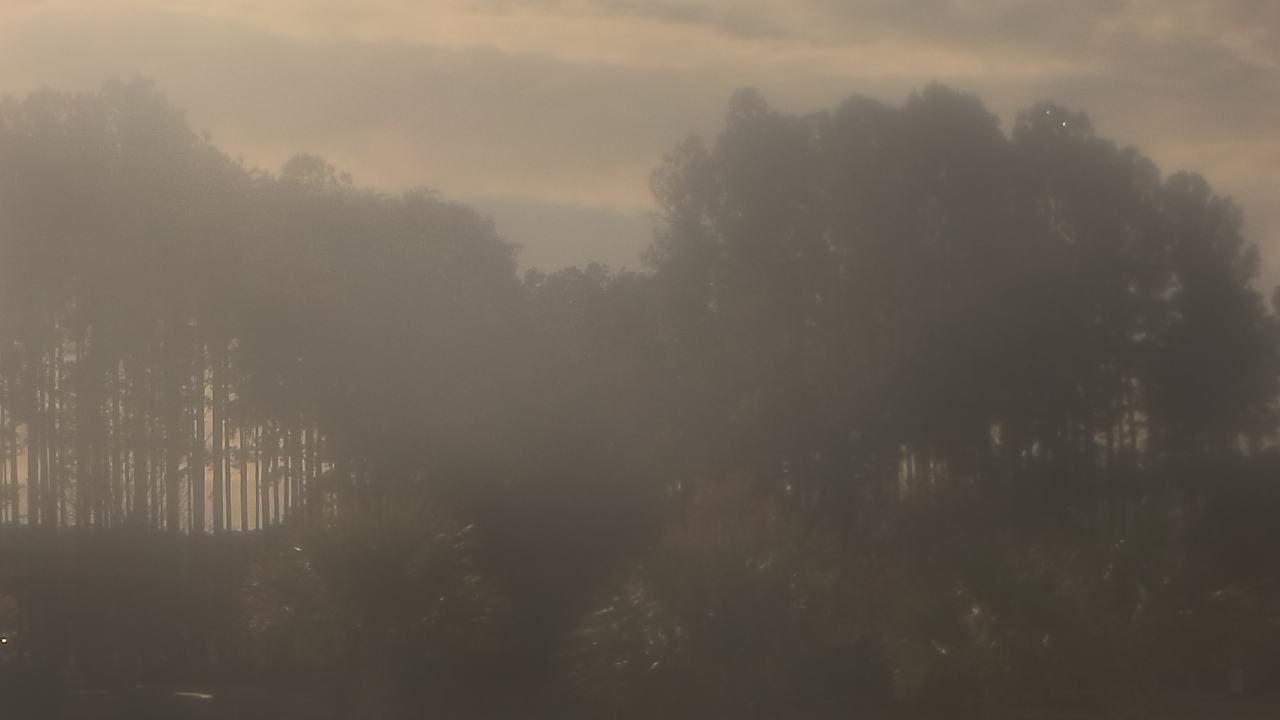 Thumbnail for current weather camera view from Sand Hill Elementary in Summerville, South Carolina