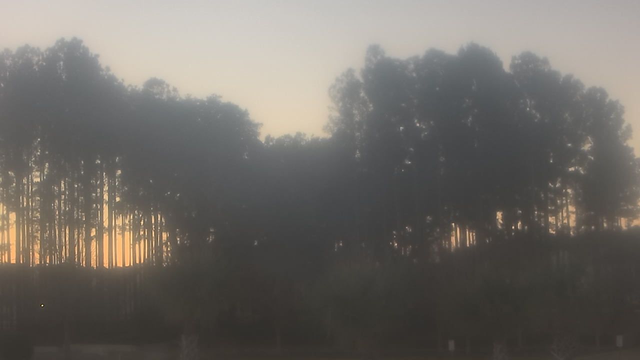 Thumbnail for current weather camera view from Sand Hill Elementary in Summerville, South Carolina