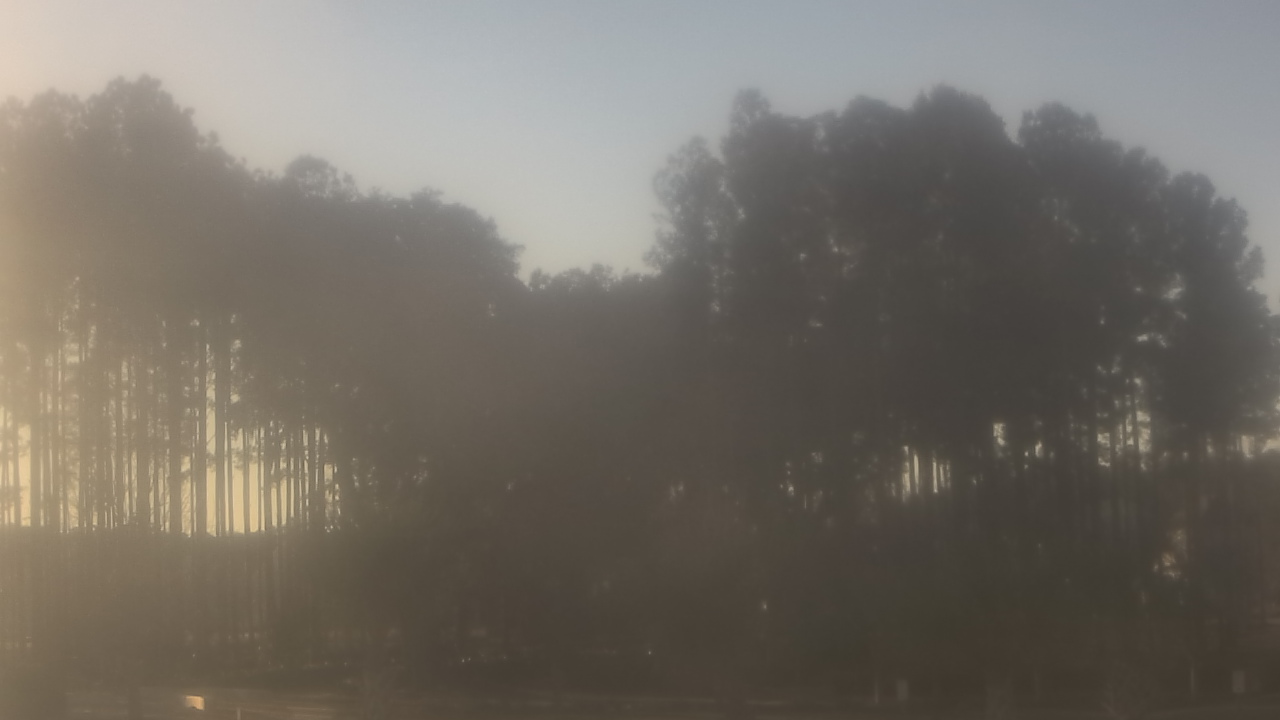 Thumbnail for current weather camera view from Sand Hill Elementary in Summerville, South Carolina