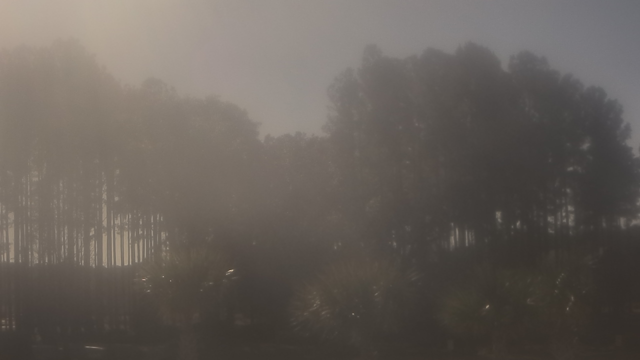 Thumbnail for current weather camera view from Sand Hill Elementary in Summerville, South Carolina