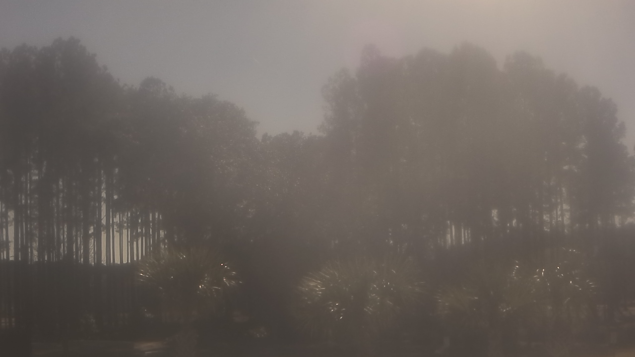 Thumbnail for current weather camera view from Sand Hill Elementary in Summerville, South Carolina