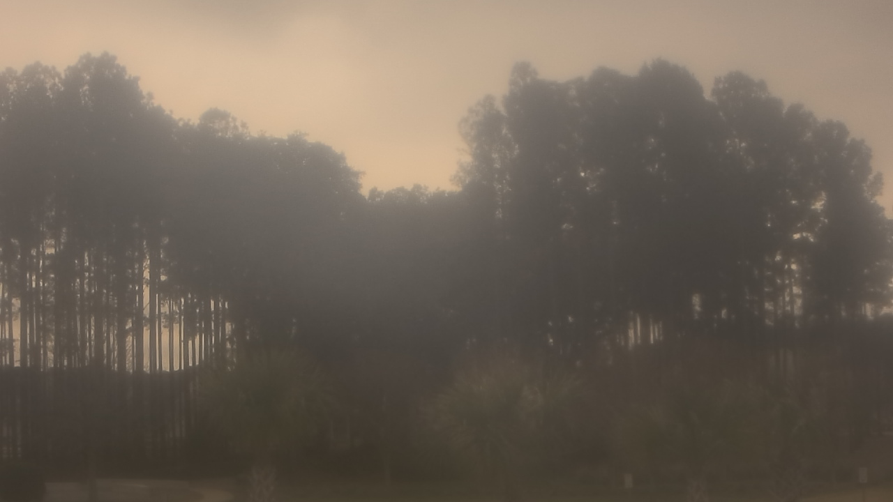 Thumbnail for current weather camera view from Sand Hill Elementary in Summerville, South Carolina