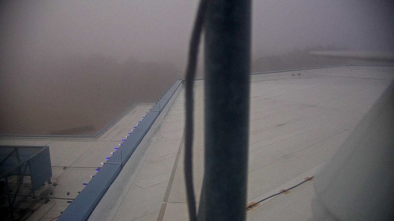 Thumbnail for current weather camera view from Space Center Houston in Houston, Texas