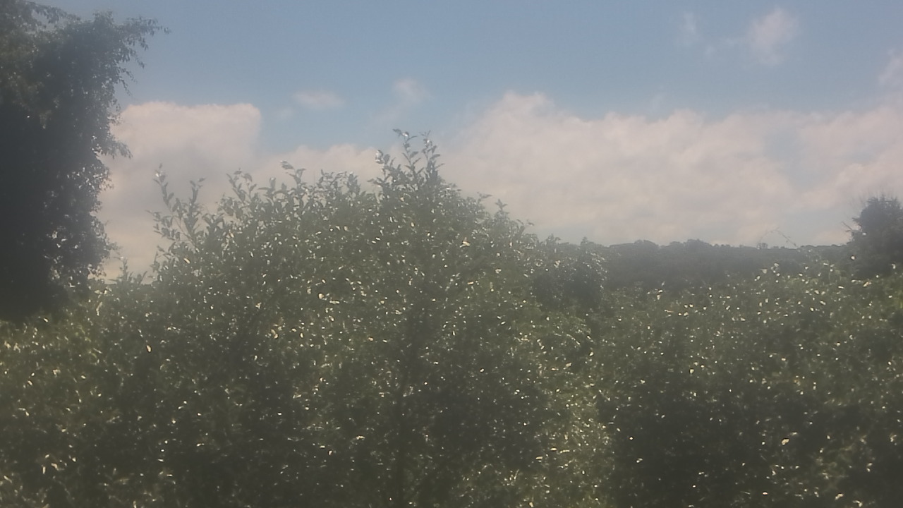 Thumbnail for current weather camera view from Sussex Co Charter Sch For Tech in Sparta, New Jersey