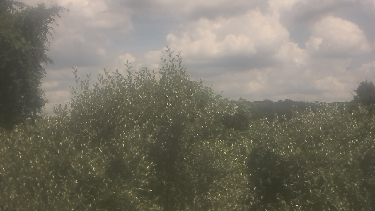 Thumbnail for current weather camera view from Sussex Co Charter Sch For Tech in Sparta, New Jersey