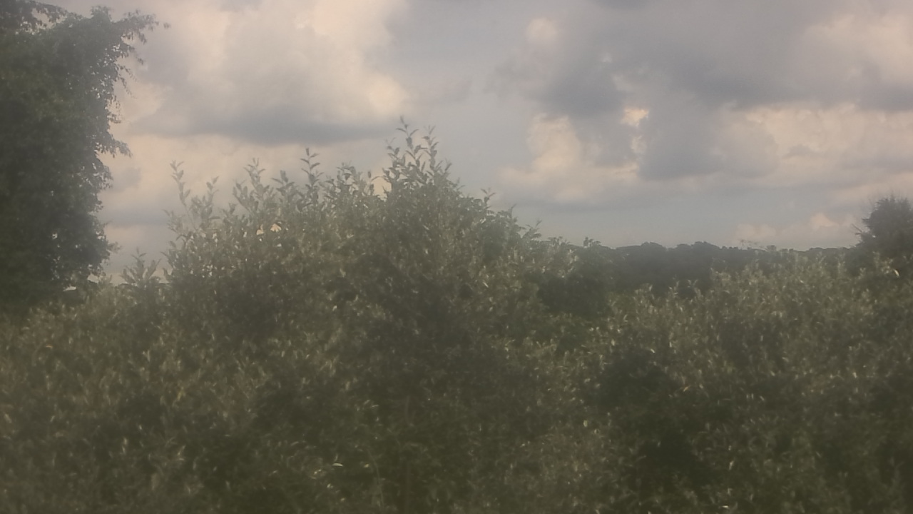 Thumbnail for current weather camera view from Sussex Co Charter Sch For Tech in Sparta, New Jersey