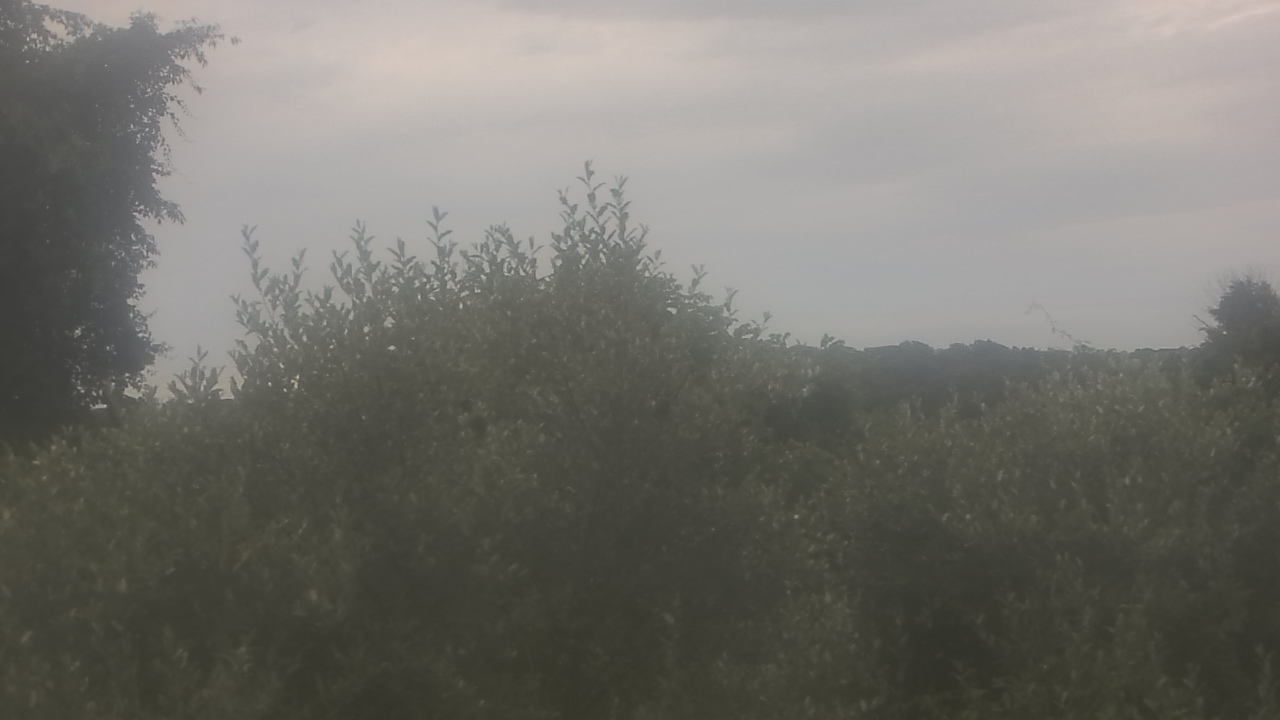 Thumbnail for current weather camera view from Sussex Co Charter Sch For Tech in Sparta, New Jersey