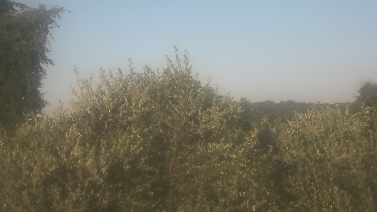 Thumbnail for current weather camera view from Sussex Co Charter Sch For Tech in Sparta, New Jersey