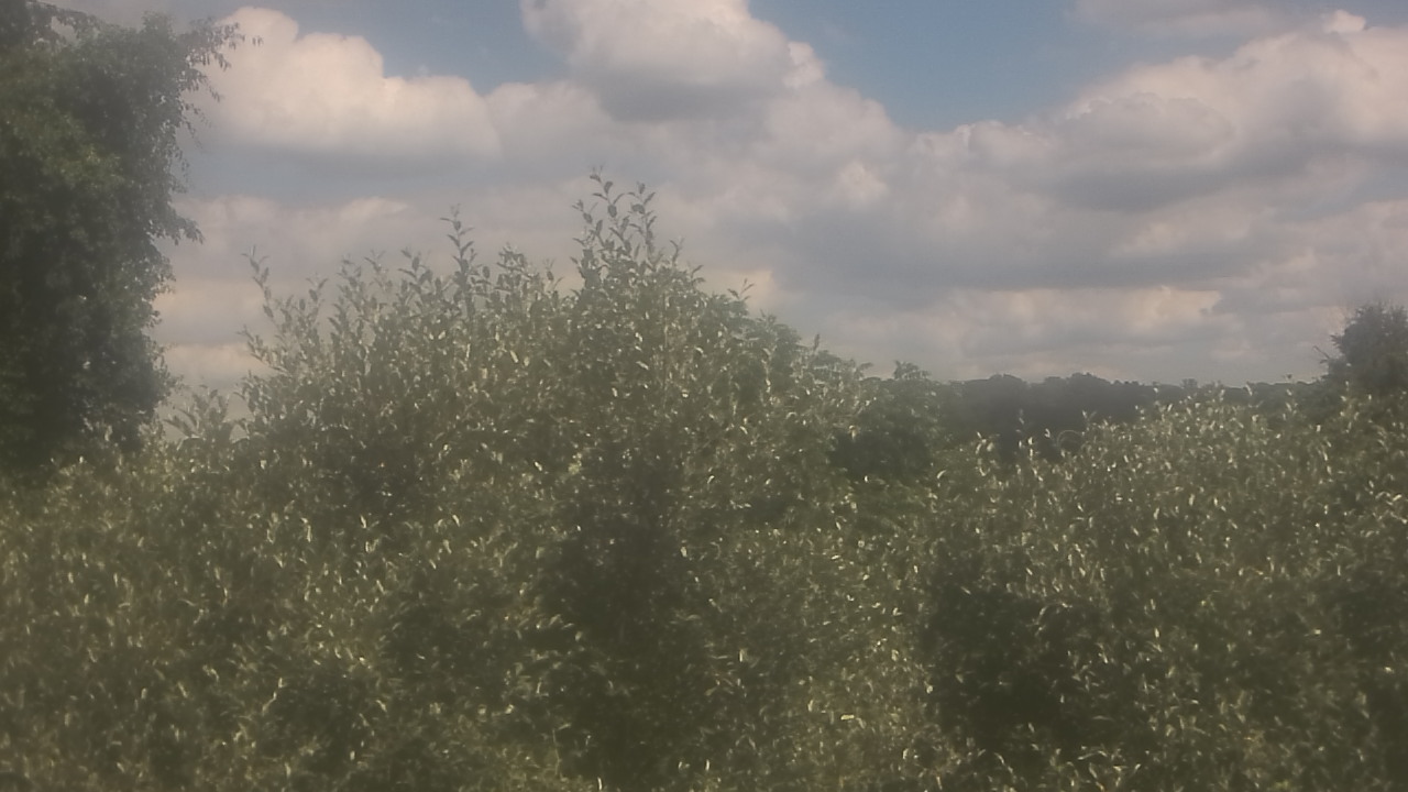 Thumbnail for current weather camera view from Sussex Co Charter Sch For Tech in Sparta, New Jersey