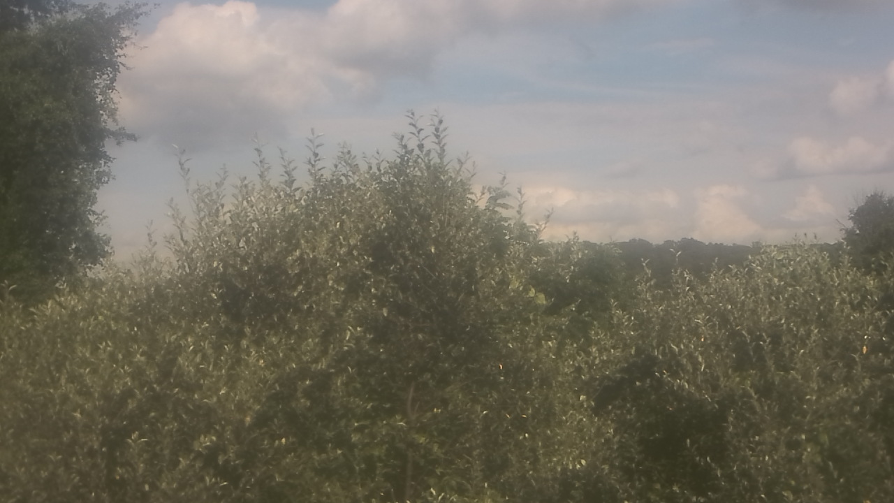Thumbnail for current weather camera view from Sussex Co Charter Sch For Tech in Sparta, New Jersey