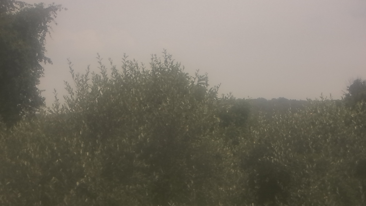 Thumbnail for current weather camera view from Sussex Co Charter Sch For Tech in Sparta, New Jersey