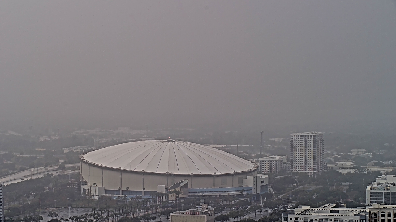 Thumbnail for current weather camera view from Greystar in St. Petersburg, Florida