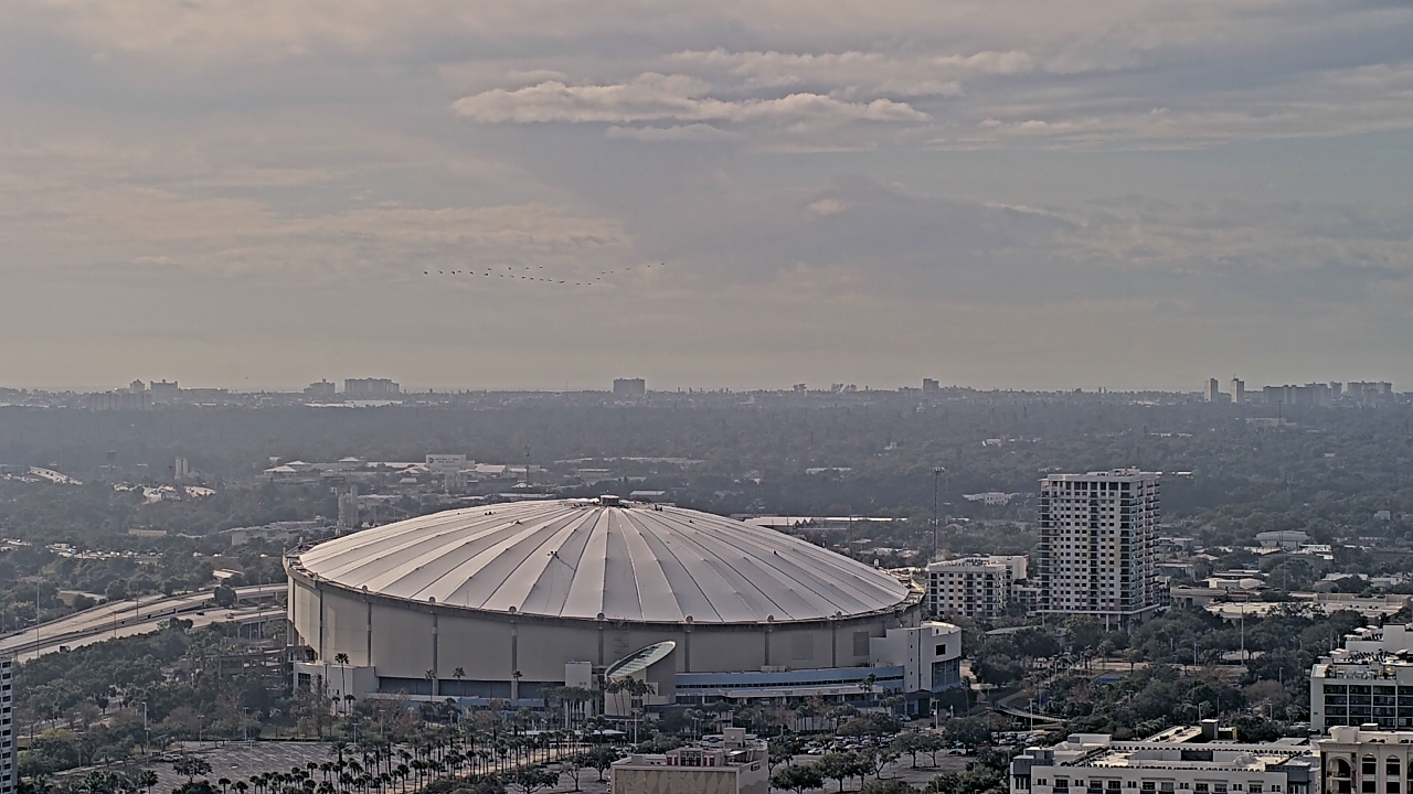 Thumbnail for current weather camera view from Greystar in St. Petersburg, Florida