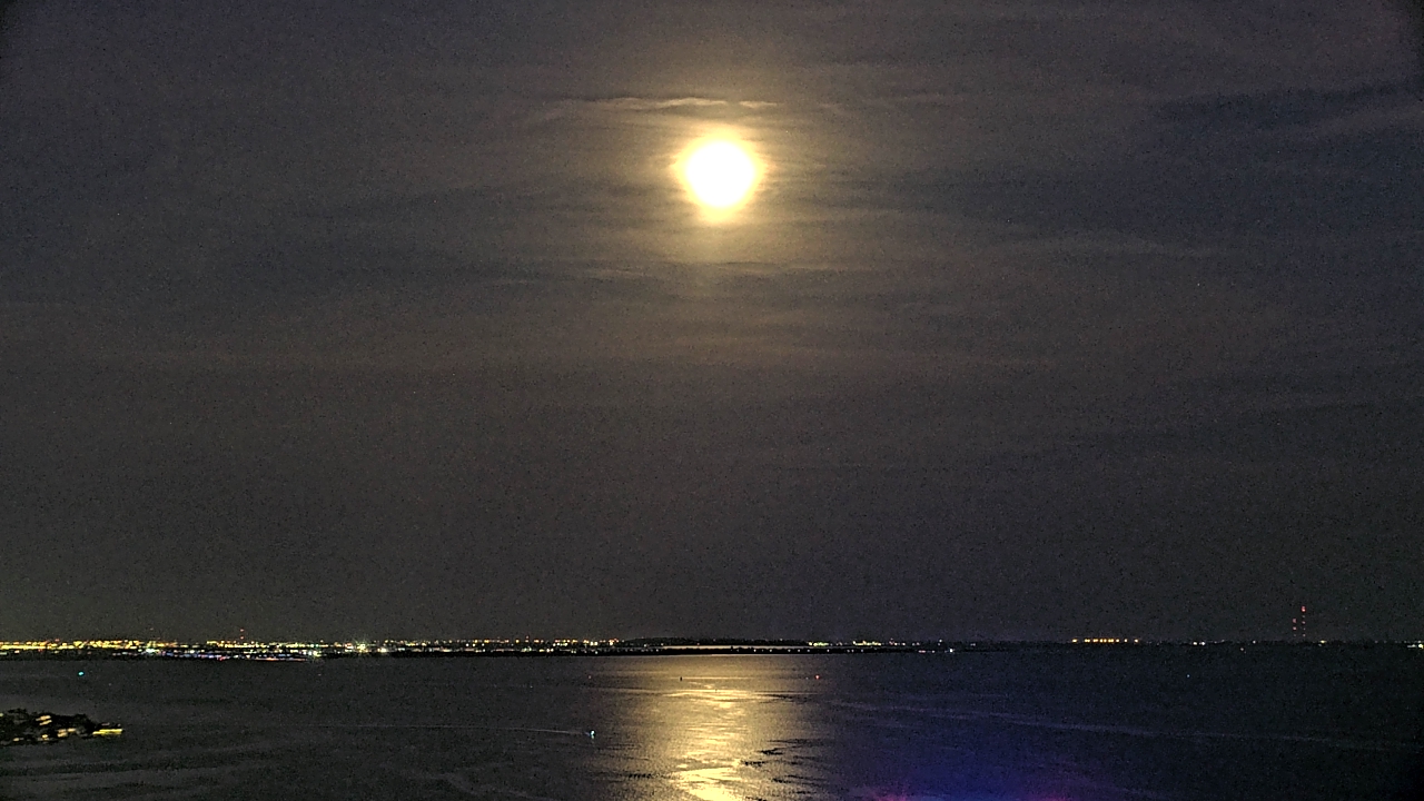 Thumbnail for current weather camera view from Greystar East in St. Petersburg, Florida