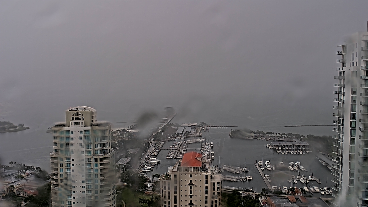 Thumbnail for current weather camera view from Greystar East in St. Petersburg, Florida