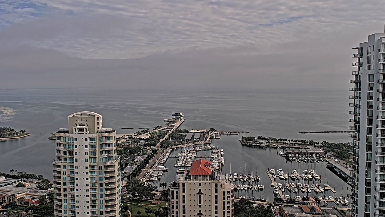 Thumbnail for current weather camera view from Greystar East in St. Petersburg, Florida