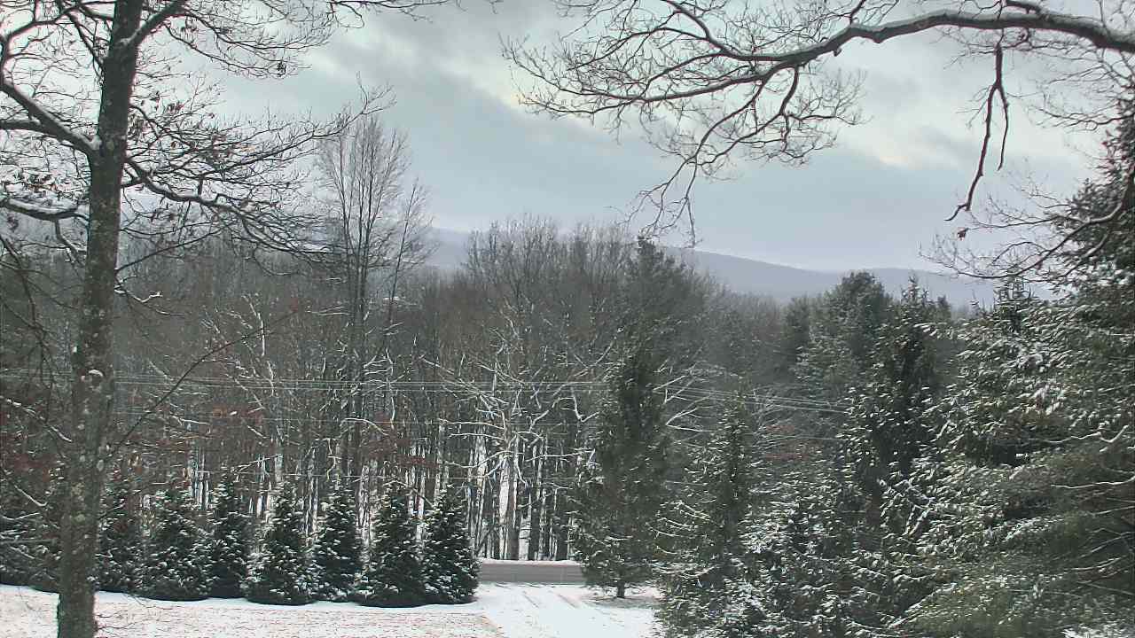 Thumbnail for current weather camera view from Sky Valley Lodge in Swanton, Maryland