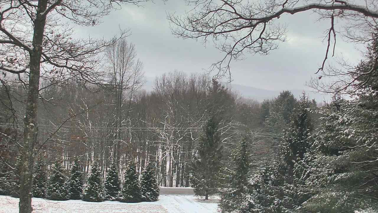 Thumbnail for current weather camera view from Sky Valley Lodge in Swanton, Maryland